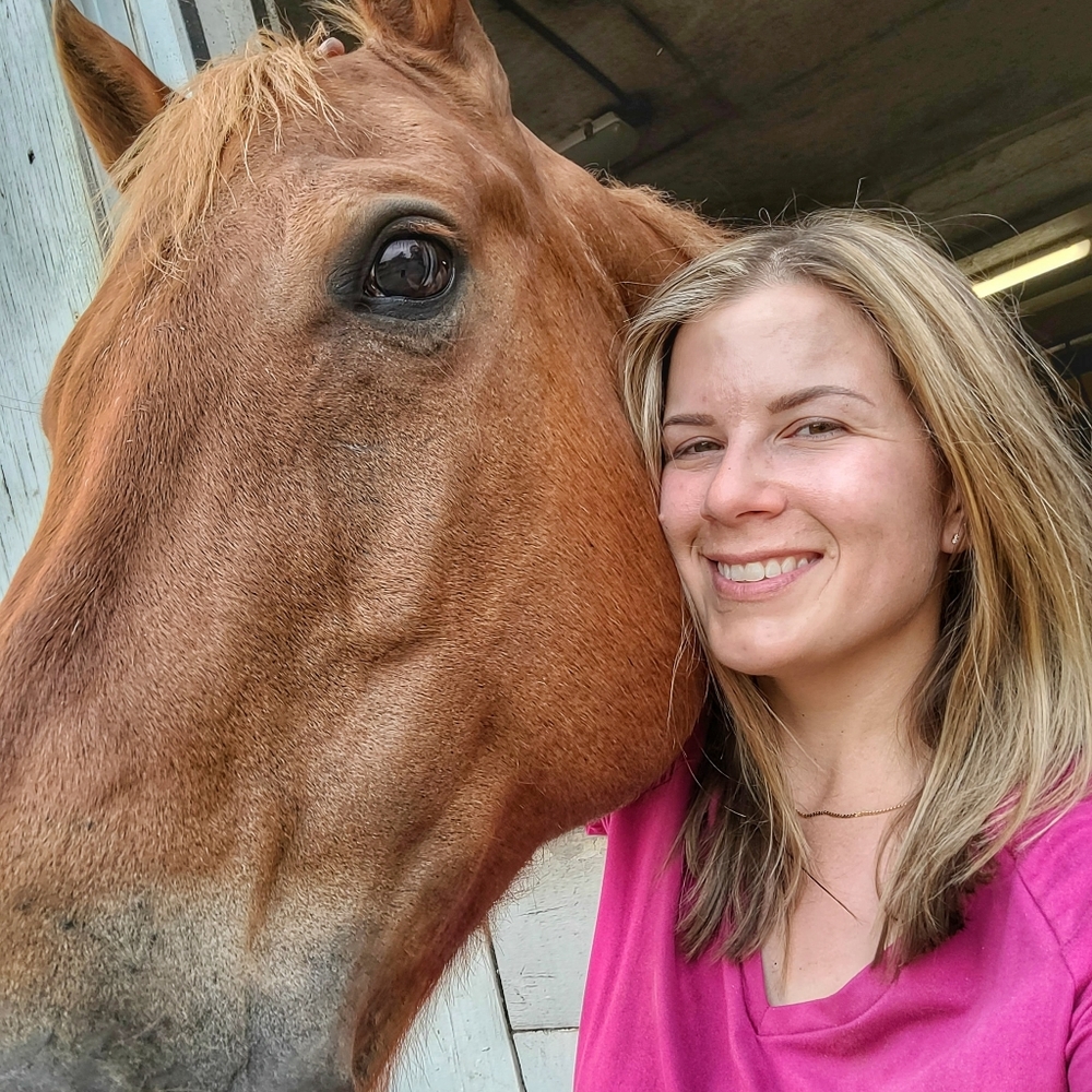ISO equestrian gear